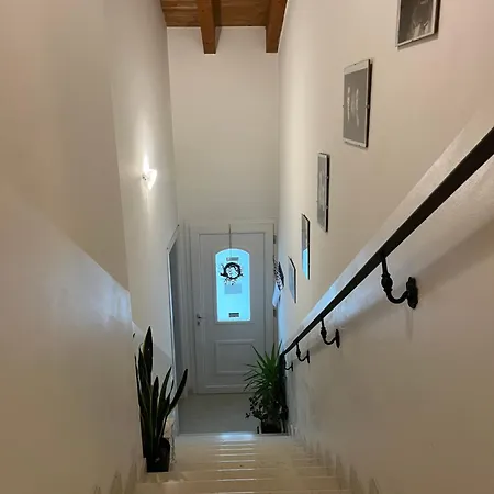 Mums Con Colonnina Elettrica Vicenza