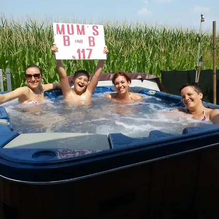 Mums Con Colonnina Elettrica ベッド・アンド・ブレックファスト ヴィチェンツァ