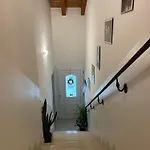 Mums Con Colonnina Elettrica Vicenza