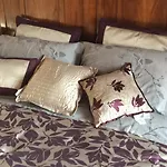 Mums Con Colonnina Elettrica Vicenza