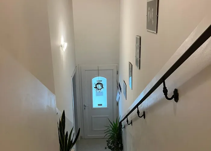 Mums Con Colonnina Elettrica Vicenza