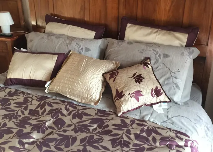 Mums Con Colonnina Elettrica Vicenza