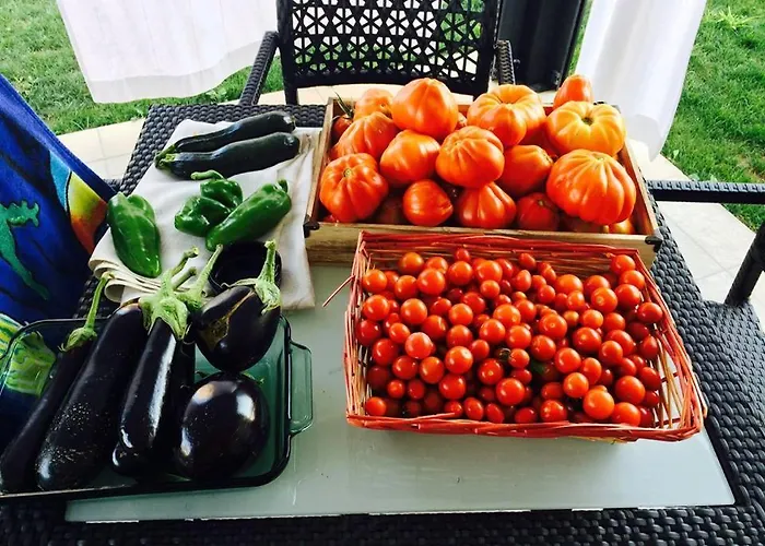 Mums Con Colonnina Elettrica Bed & Breakfast